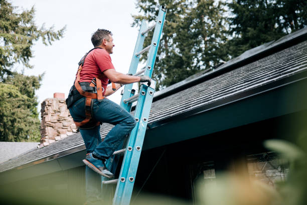 Best Roof Maintenance and Cleaning  in Lookout Mountain, AL